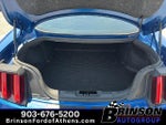 2017 Mustang Thumbnail 9
