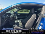 2017 Mustang Thumbnail 11