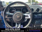 2017 Mustang Thumbnail 16