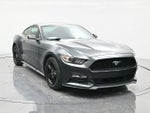 2016 Mustang Thumbnail 3