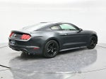 2016 Mustang Thumbnail 5