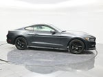 2016 Mustang Thumbnail 4