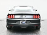 2016 Mustang Thumbnail 6