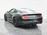 2016 Mustang Thumbnail 7