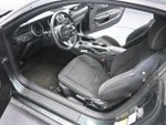 2016 Mustang Thumbnail 11