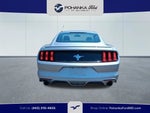 2015 Mustang Thumbnail 6