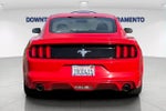 2015 Mustang Thumbnail 9
