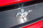 2015 Mustang Thumbnail 14