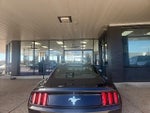 2015 Mustang Thumbnail 5