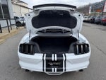 2015 Mustang Thumbnail 8