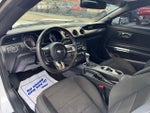 2015 Mustang Thumbnail 14