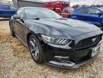 2015 Mustang Thumbnail 2