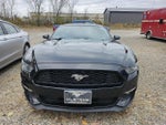 2015 Mustang Thumbnail 3