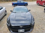 2015 Mustang Thumbnail 4