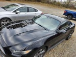 2015 Mustang Thumbnail 5