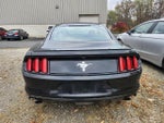 2015 Mustang Thumbnail 8