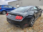 2015 Mustang Thumbnail 9