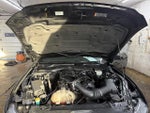 2015 Mustang Thumbnail 22