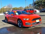 2015 Mustang Thumbnail 1