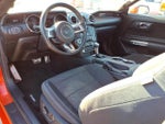 2015 Mustang Thumbnail 13