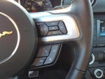 2015 Mustang Thumbnail 19