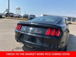 2016 Mustang Thumbnail 13
