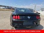 2016 Mustang Thumbnail 14