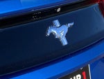 2017 Mustang Thumbnail 10