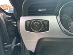 2015 Mustang Thumbnail 8
