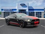 2015 Mustang Thumbnail 1