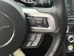 2015 Mustang Thumbnail 15