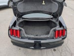 2017 Mustang Thumbnail 17