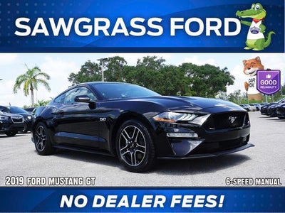 Photo of a 2019 Ford Mustang GT 2DR Fastback for sale