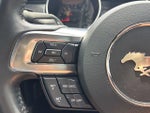 2020 Mustang Thumbnail 14