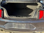 2021 Mustang Thumbnail 6