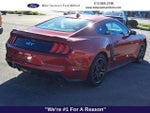 2021 Mustang Thumbnail 5