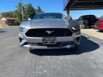 2021 Mustang Thumbnail 21
