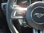 2022 Mustang Thumbnail 19