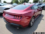 2025 Mustang Thumbnail 5