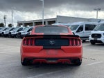 2015 Mustang Thumbnail 6