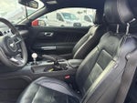 2015 Mustang Thumbnail 11