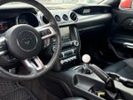 2015 Mustang Thumbnail 13