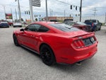 2015 Mustang Thumbnail 7