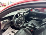2015 Mustang Thumbnail 10