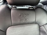 2015 Mustang Thumbnail 22