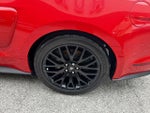 2015 Mustang Thumbnail 25