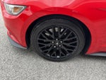 2015 Mustang Thumbnail 26