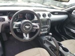 2015 Mustang Thumbnail 9
