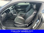 2017 Mustang Thumbnail 10