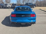 2019 Mustang Thumbnail 4
